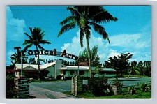 Dania florida tropical for sale  USA