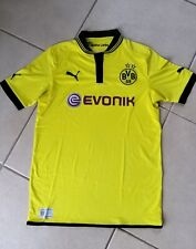 Bvb borussia dortmund gebraucht kaufen  Willstätt
