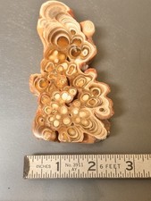 Kokoweef cave onyx for sale  Mountain Home