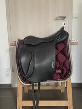 Stübben focus benni gebraucht kaufen  Weilheim