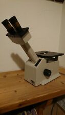 Microscopio nikon tms usato  Voltago Agordino