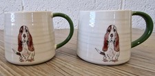 New basset hound for sale  MELTON MOWBRAY