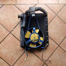 Radiatore acqua fiat usato  Cornaredo
