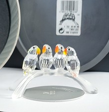 Swarovski baby lovebirds gebraucht kaufen  Weilburg