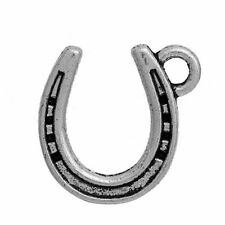 Hufeisen glücksbringer charm gebraucht kaufen  Siegen