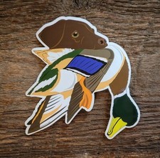Adesivos para caça de cães de pássaro MUITAS RAÇAS!!  Ducks Pheasants Grouse Upland comprar usado  Enviando para Brazil