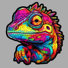 Lezard cameleon varan d'occasion  Le Val