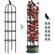 Obelisks climbing plants for sale  ENFIELD