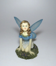 Sky fairy 1997 for sale  Delaware