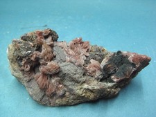 Baryt stufe barytnüssen gebraucht kaufen  Beckum