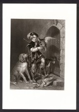 Giovane falconiere tayler usato  Città di Castello