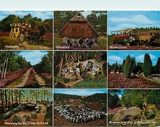 Gruss lüneburger heide gebraucht kaufen  Leonberg