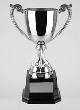 10in silver trophy for sale  UK