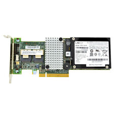 Ibm 46m0851 serveraid gebraucht kaufen  Bad Muskau