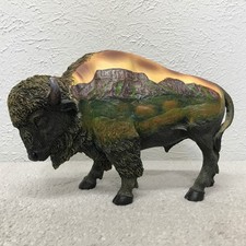 American bison buffalo for sale  Lawton
