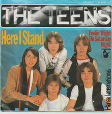 The teens here gebraucht kaufen  Osterholz-Scharmbeck