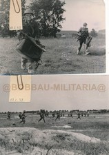 L214 negativi kvp usato  Spedire a Italy