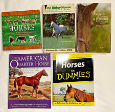 Equine horse care for sale  Apex