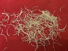 Lot grams real for sale  Hill City