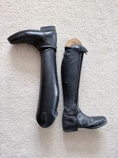 Mountain horse serenade for sale  Bristow