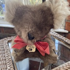 Koala bear real for sale  CLACTON-ON-SEA