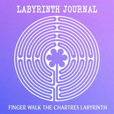 Labyrinth journal finger for sale  Montgomery