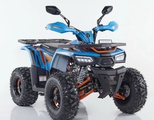 Quad 125cc hunter usato  Paolisi