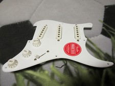 Squier classic vibe gebraucht kaufen  Föhr