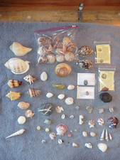 Mixed lot sea for sale  Poughkeepsie