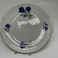 Kuchenplatte porzellan enzian gebraucht kaufen  Massing