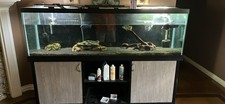 125 gallon tank for sale 125 gallon tank for sale Hammond