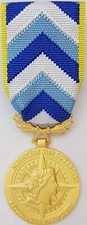 Médaille engagement ultramari d'occasion  Verson