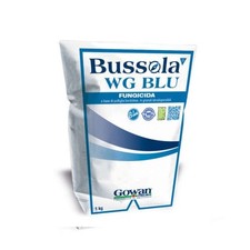 Bussola blu bio usato  Battipaglia