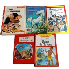 Lot livres ideal d'occasion  Ménéac