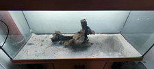 Aquarium terrarium 250l gebraucht kaufen  Hersbruck
