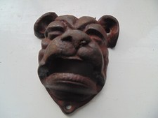 Old bulldog dog for sale  WARWICK