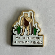 Pin bretagne parc d'occasion  Aizenay