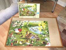 Ducks water big for sale  LETCHWORTH GARDEN CITY