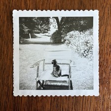 chair sitting for sale chair sitting for sale Seattle