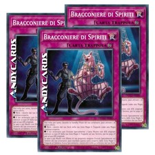 Bracconiere spiriti comune usato  Ravenna