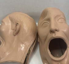 Dentoform dental manikin for sale  Houston
