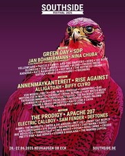 Southside festival grüner gebraucht kaufen  Gaienhofen