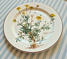 Botanica speiseteller wurzel gebraucht kaufen  Überherrn