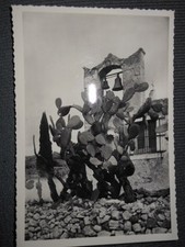 Cartolina Castel Mola Taormina Fico d'India anni '60 ^ comprar usado  Enviando para Brazil