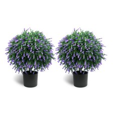 Sunnyglade 21.6 tall for sale  Yakima