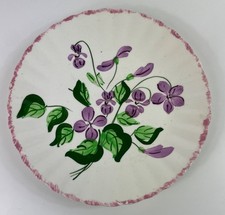Violets blue ridge for sale  Dayton