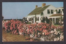 Ansichtskarte cape cod gebraucht kaufen  Hattingen