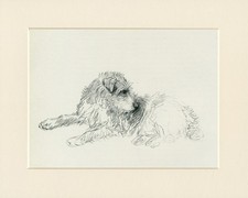 JACK RUSSELL TERRIER CHARMOSO 1938 MONTADO ESBOÇO DE CACHORRO IMPRESSÃO por KF BARKER comprar usado  Enviando para Brazil