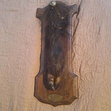 Taxidermie trophée chasse d'occasion Taxidermie trophée chasse d'occasion  Moulins