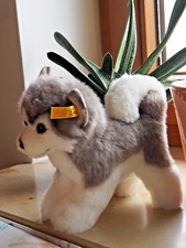 Steiff husky bernie gebraucht kaufen  Rechberghausen